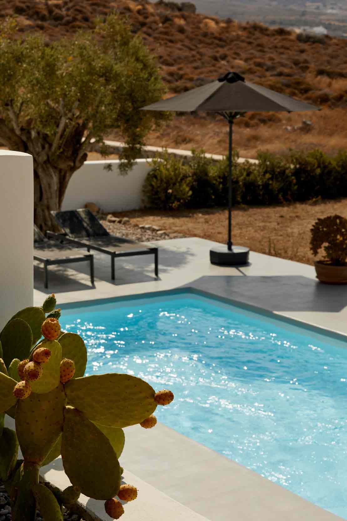 Naxos property management Greece properties mikri vigla inspection monitoring rental